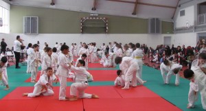 tournoi de judo